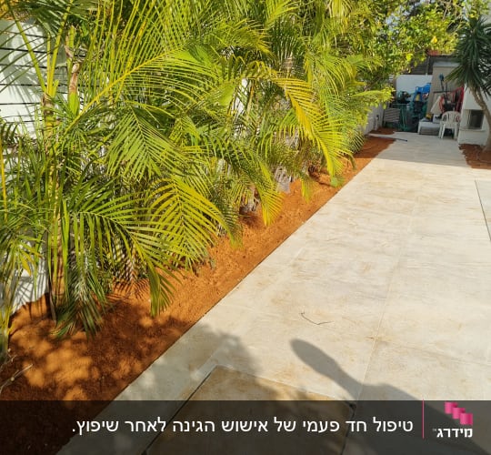 שביל מרוצף עם צמחייה ירוקה בצד